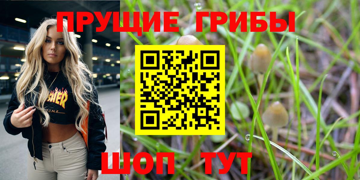 Галлюциногенные грибы прущие грибы Сердобск